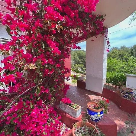 Famara Apartment Lloret de Mar