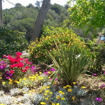 Apartment Famara Lloret de Mar