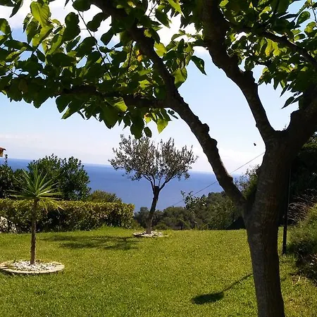 Famara Lloret de Mar