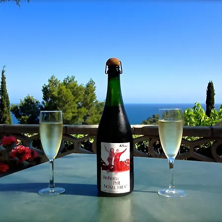 Famara Lloret de Mar