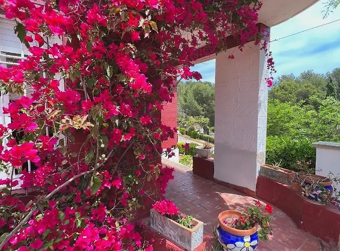 Famara Апартаменти Льорет-де-Мар