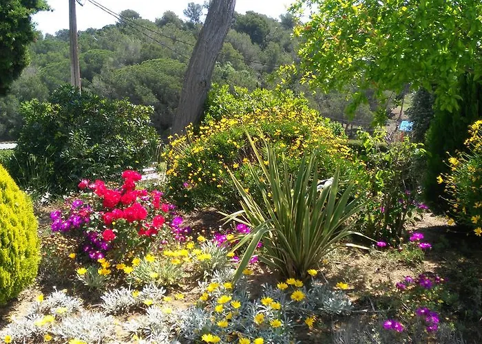 Апартаменти Famara Льорет-де-Мар