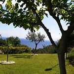 Famara يوريت دي مار